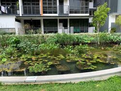 Coco Palms (D18), Condominium #488741551